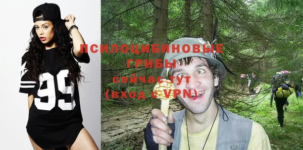 тгк Майский