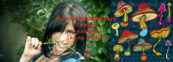 jwh Магас